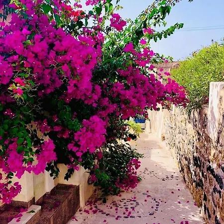 Loukas Kontos Traditional House