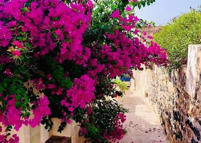 Loukas Kontos Traditional House